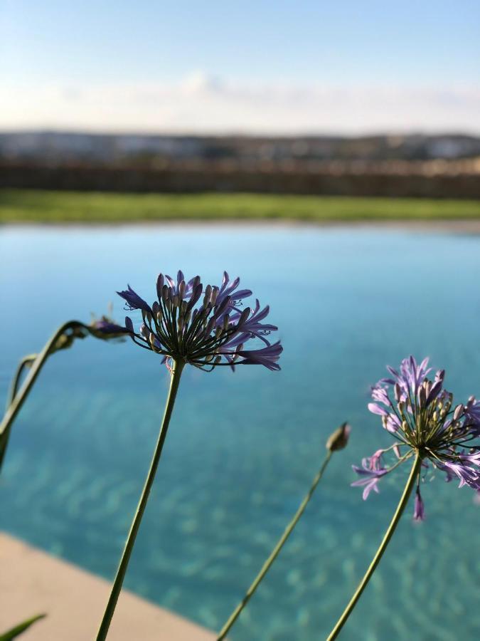 Sunset Oasis Villa L-Imgarr Luaran gambar